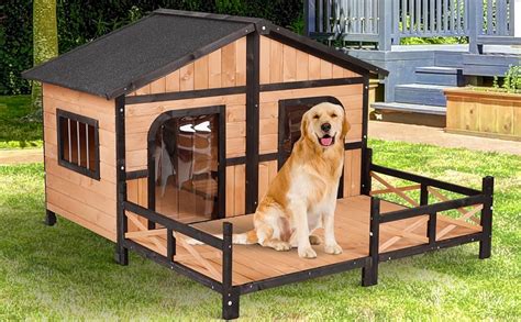 outdoor dog house amazon